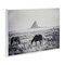 Stupell Industries Western Range with Horses Wall Plaque By Nathan Larson